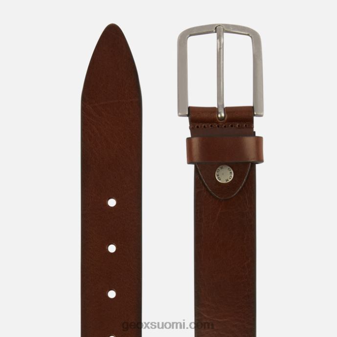 kahvia 42HD21797 Geox vyö mies