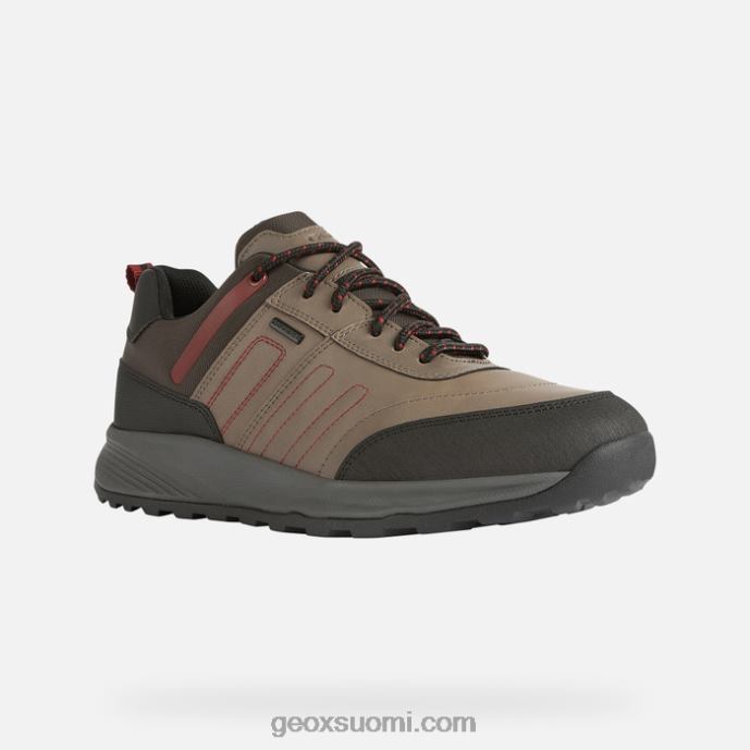 kyyhkynen harmaa 42HD2857 Geox terrestre abx mies