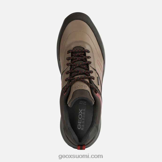 kyyhkynen harmaa 42HD2857 Geox terrestre abx mies