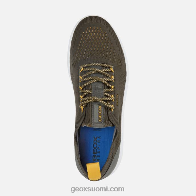 oliivi 42HD2619 Geox spherica mies