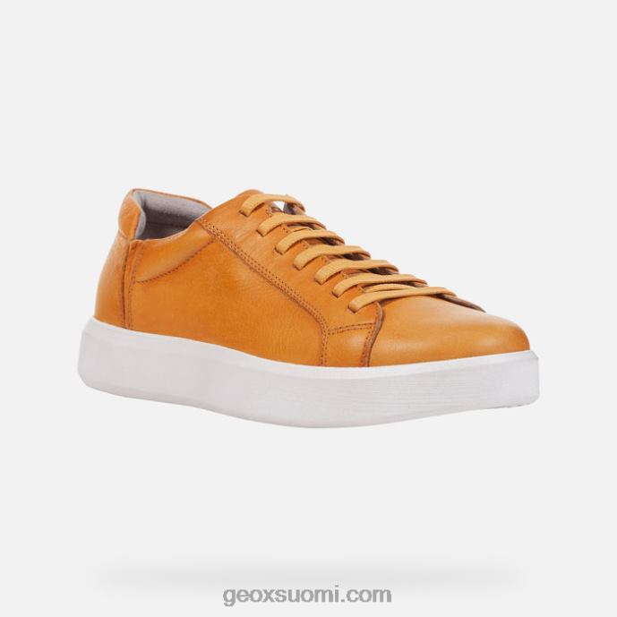 tummankeltainen 42HD2822 Geox velletri mies
