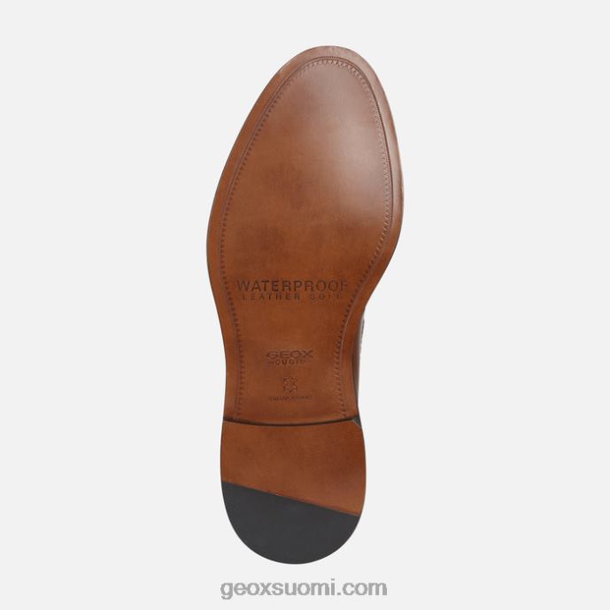 konjakki 42HD21834 Geox artenova mies