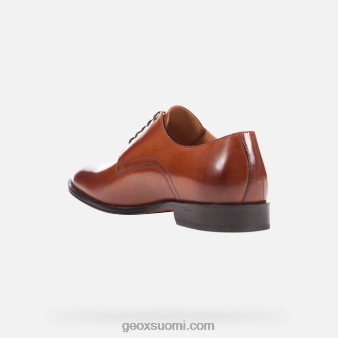 konjakki 42HD2764 Geox muuten mies