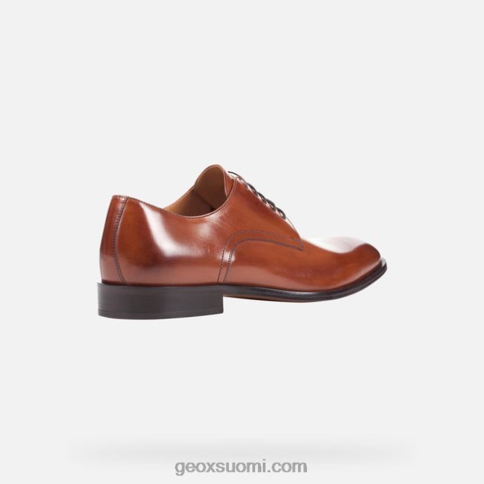 konjakki 42HD2764 Geox muuten mies