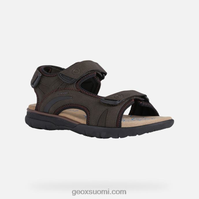 kahvia 42HD2838 Geox spherica ec5 mies