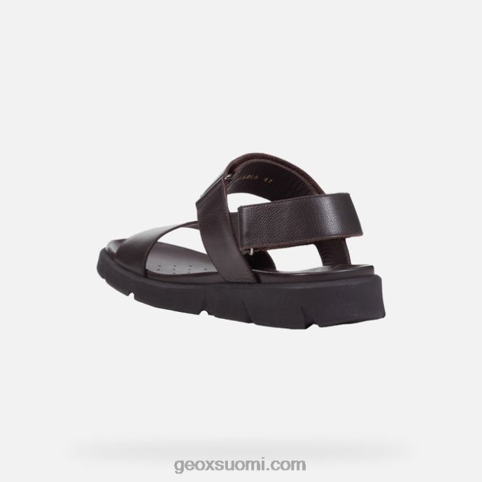 ruskea cotto 42HD21757 Geox xand 2s mies