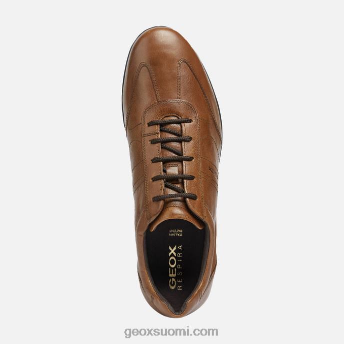ruskea cotto 42HD21807 Geox symboli mies