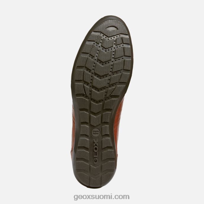 ruskea cotto 42HD21807 Geox symboli mies