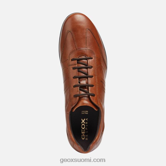 ruskea cotto 42HD21851 Geox symboli mies