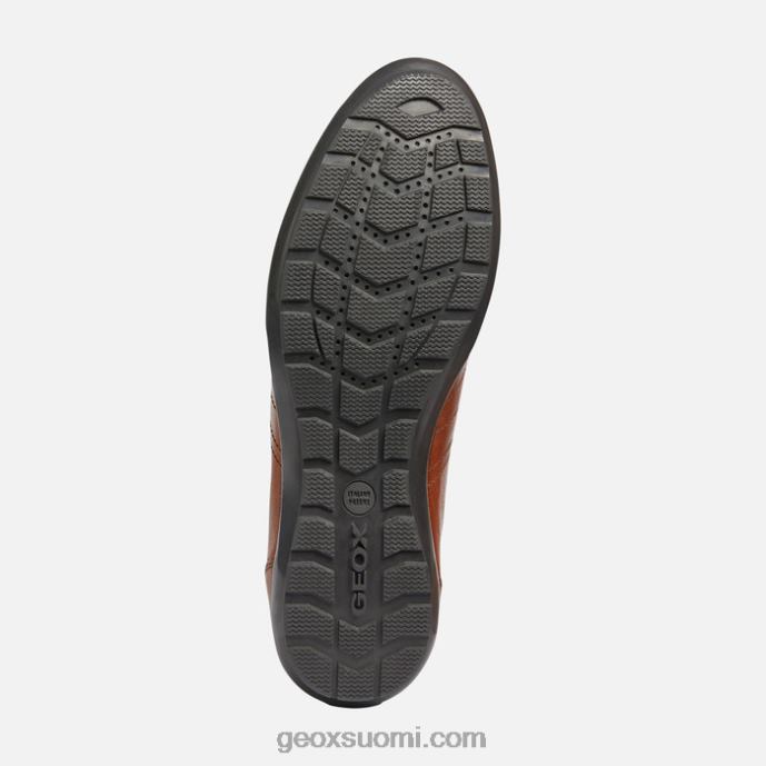 ruskea cotto 42HD21851 Geox symboli mies