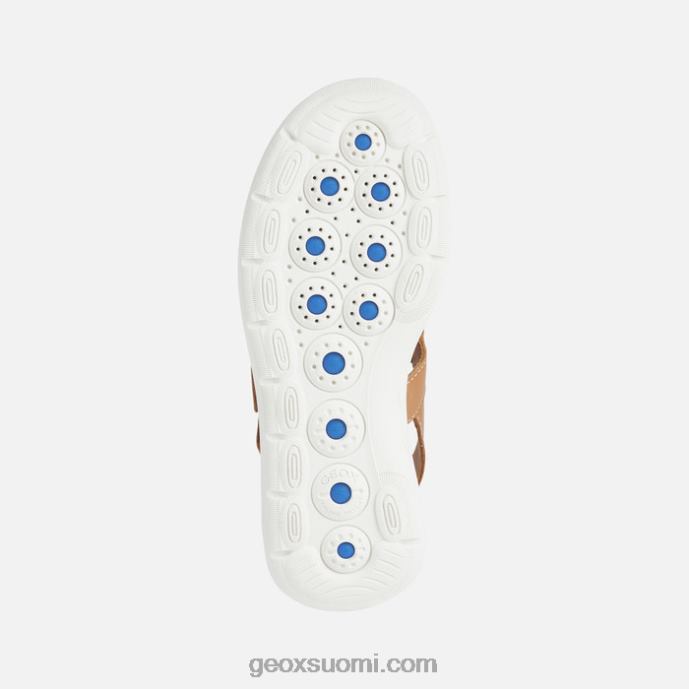 kameli 42HD238 Geox spherica ec5w nainen